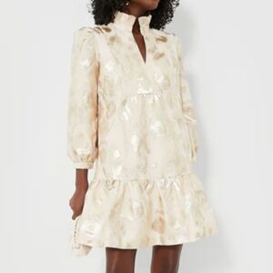 Tuckernuck Champagne Fil Coupe Palmerston Dress NWT Size Large